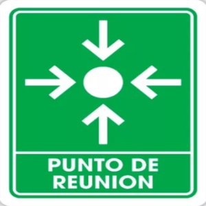 SEÑALAMIENTO LEYENDA "PUNTO DE REUNIÓN" 30X25 CM TROVICEL